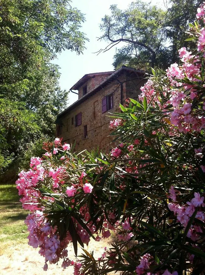 Bed & Breakfast Il Paretaio Bed and Breakfast Barberino di Val dʼElsa